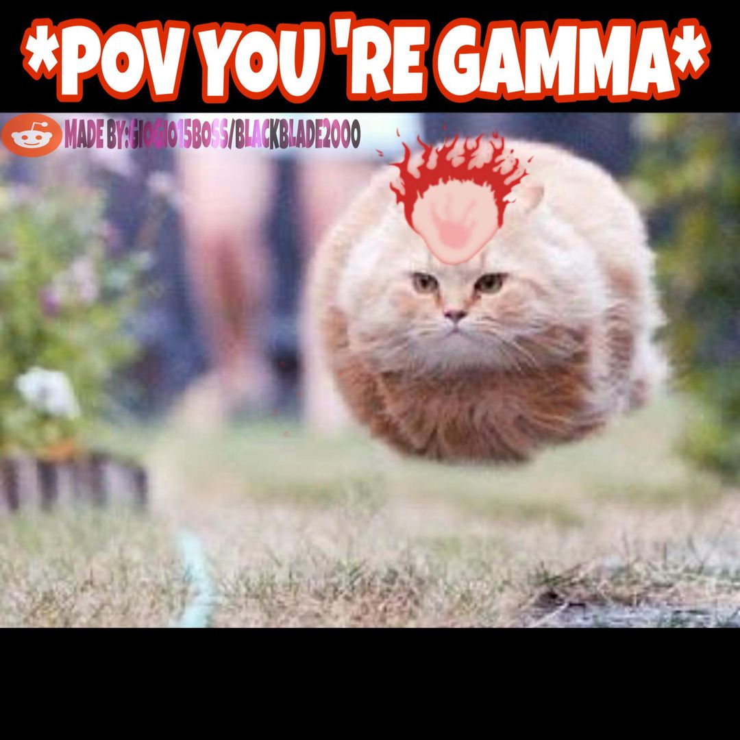 BEST VONGOLA BOX WEAPON URI