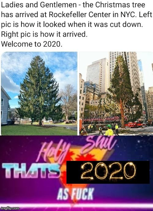 Best Year Best Tree Scrolller