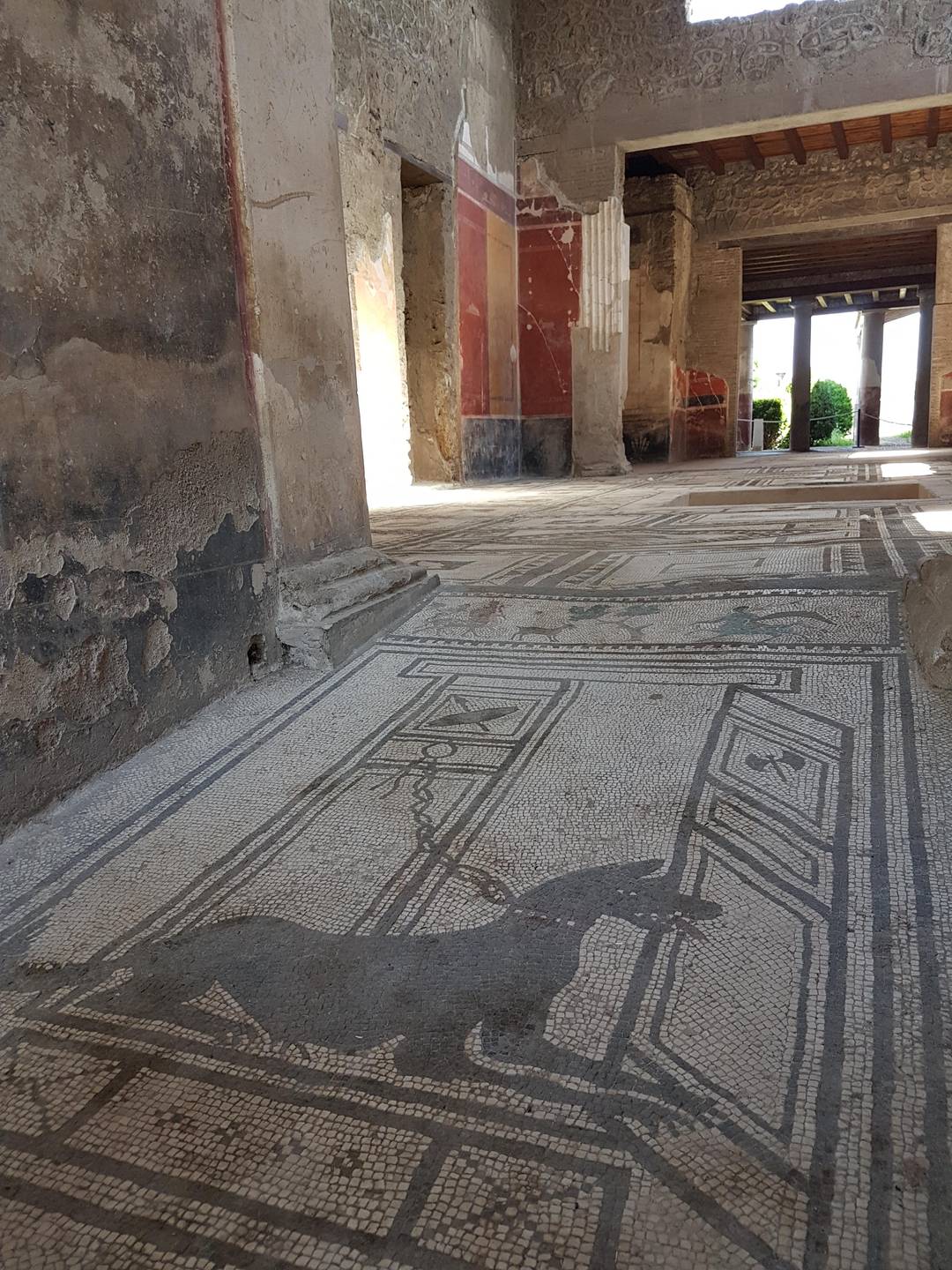 'Beware of the Dog' mosaic at the entrance to a Pompeian house.