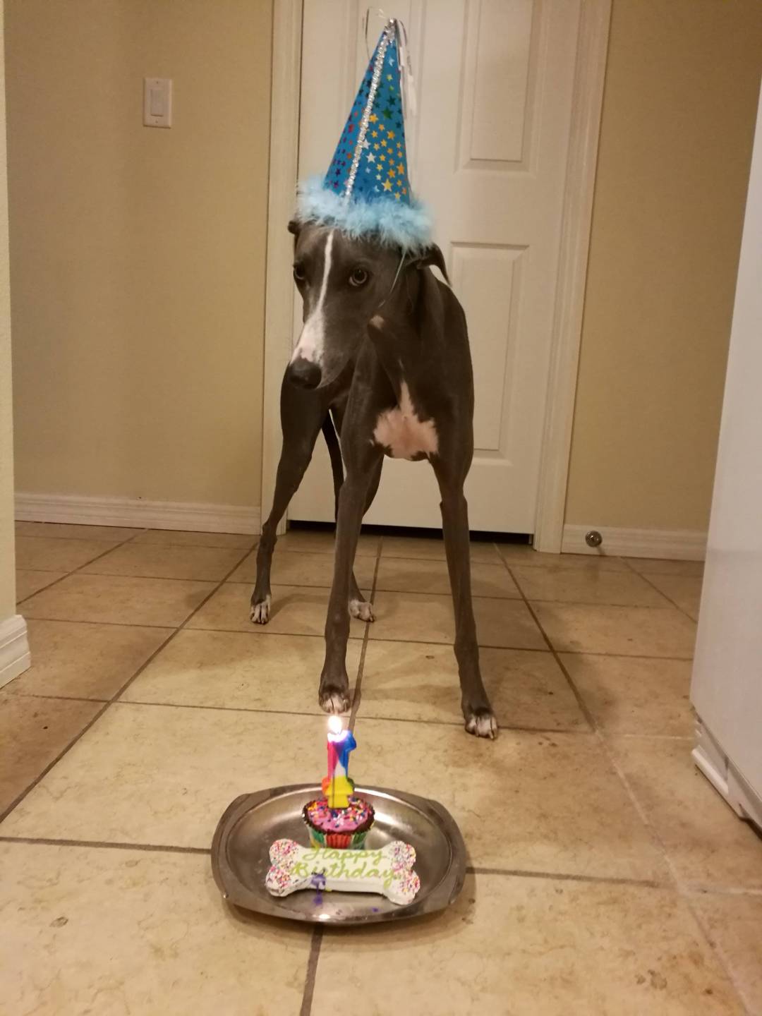Birthday boy