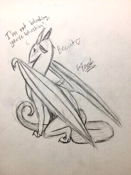 Biscuit’s a bit embarrassed