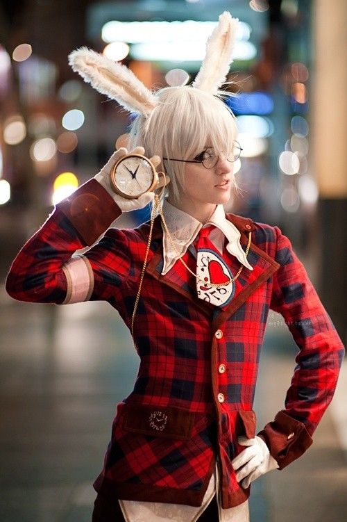 Blonde bunny | Scrolller