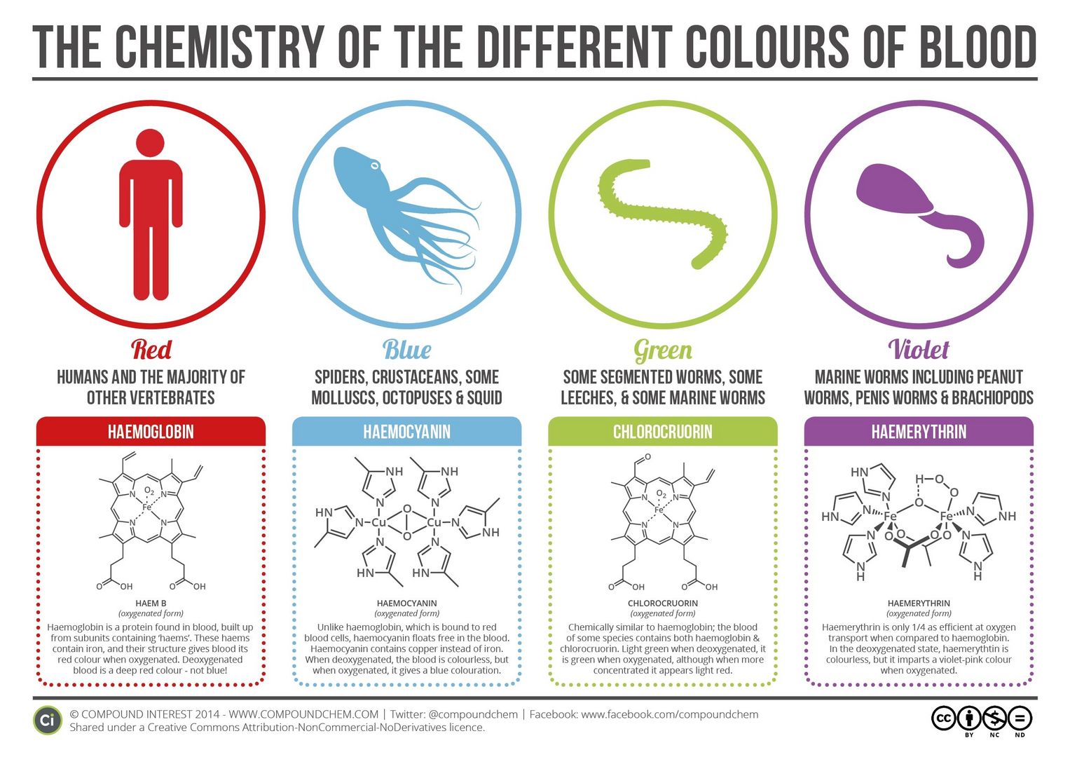 Blood Color Guide