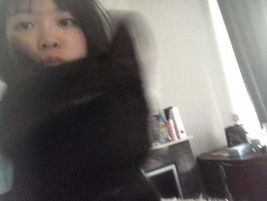 Blurry picture of a cat