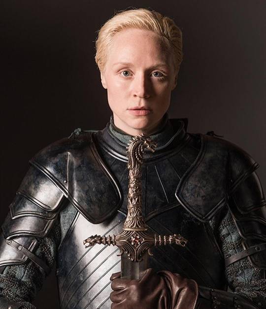 Brienne of Tarth, A Knight of the Seven Kingdoms
