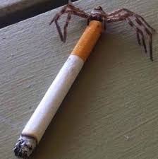 Bro don't hog it all