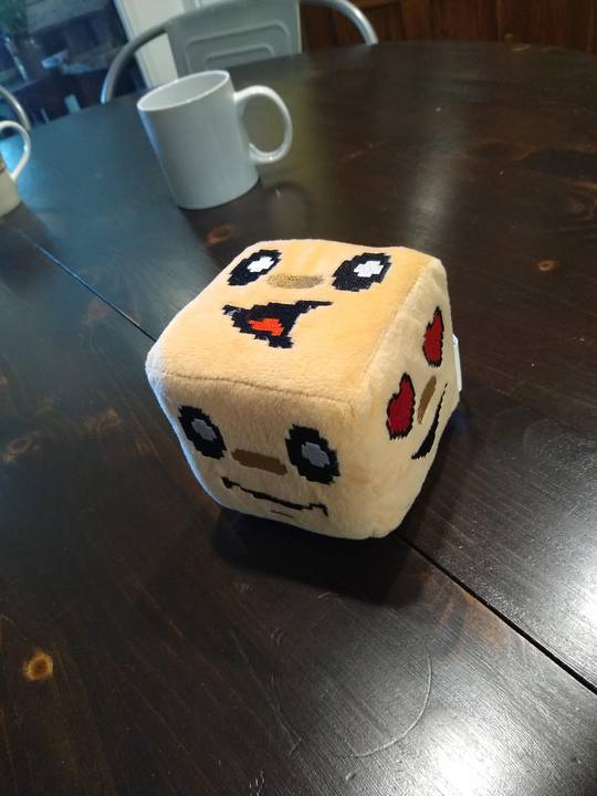 BUP CUBE