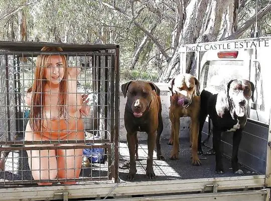 Naked brunette woman in a metal cage on a truck with three dogs, pet play and bondage