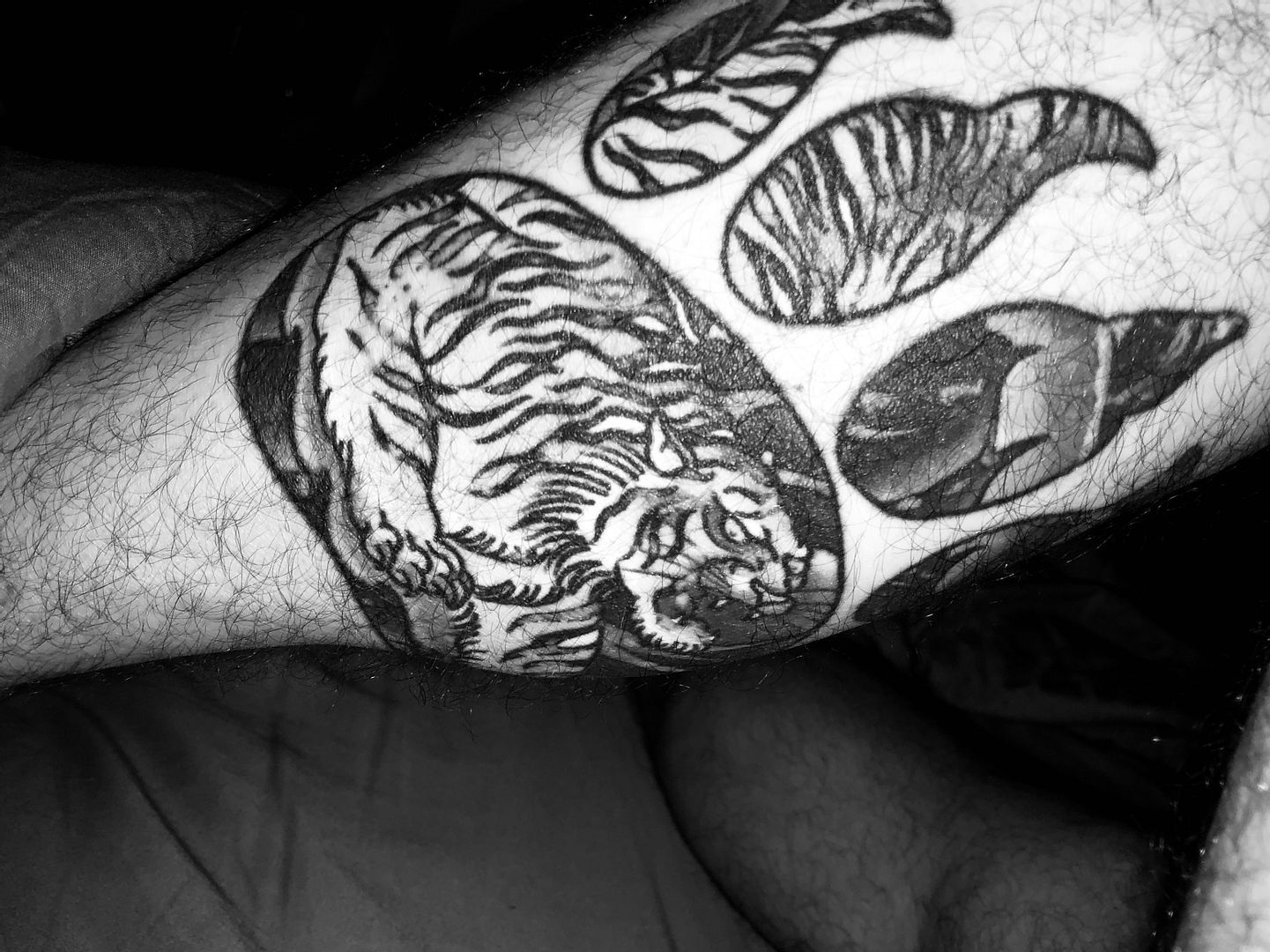 Can I get some tattoo love? | Scrolller - Where Can I Get Change For A $20