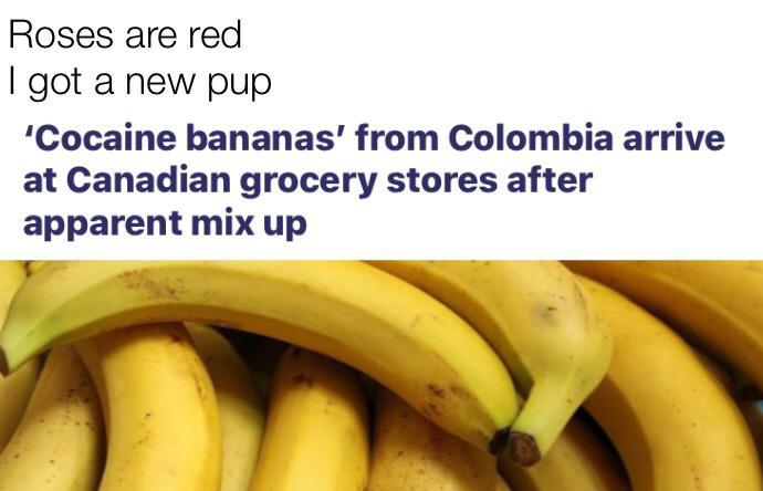 Can These be a national fruit somewhere?