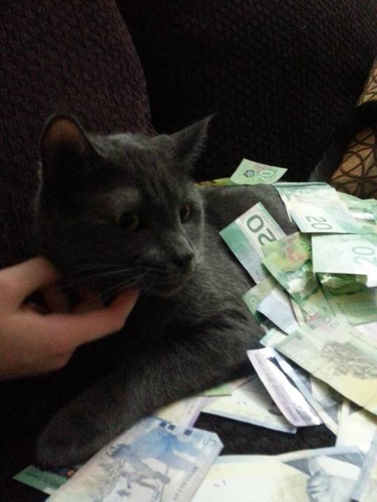 Canadian Dosh