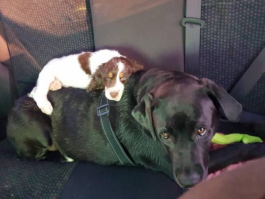 Car ride snuggles!