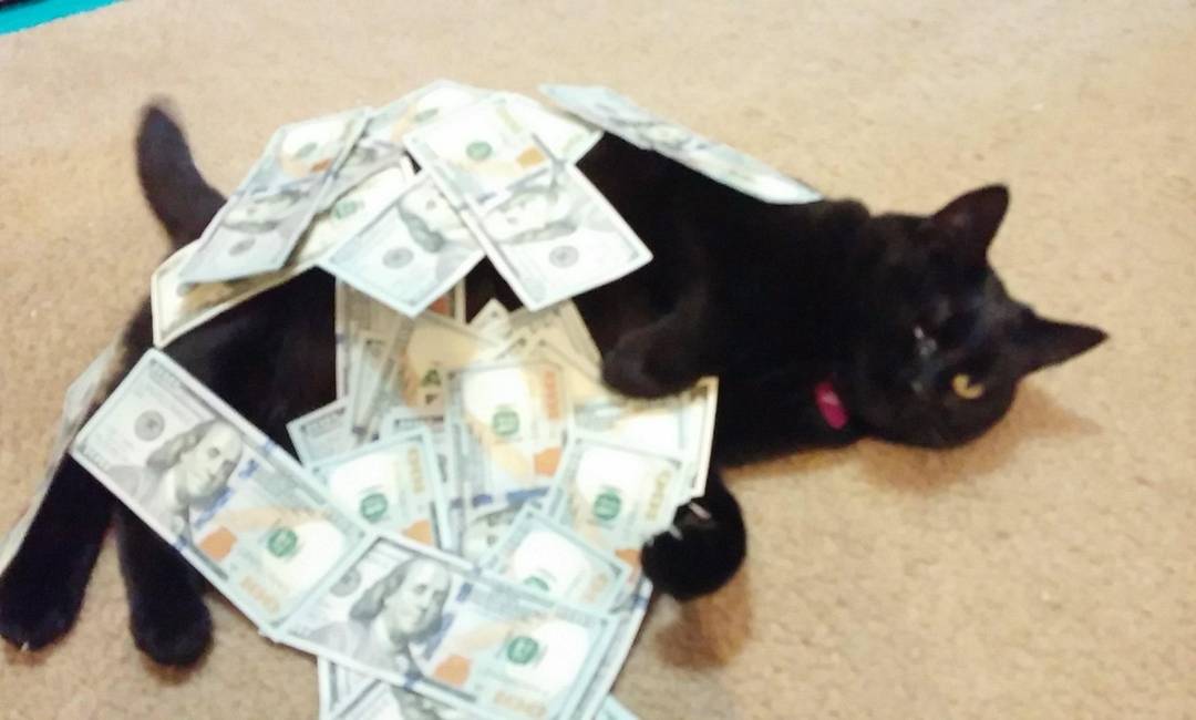 Cash Rules Everything Around Me