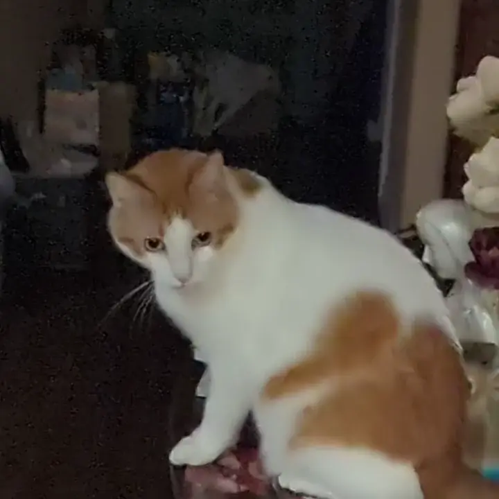 Catculating target trajectory