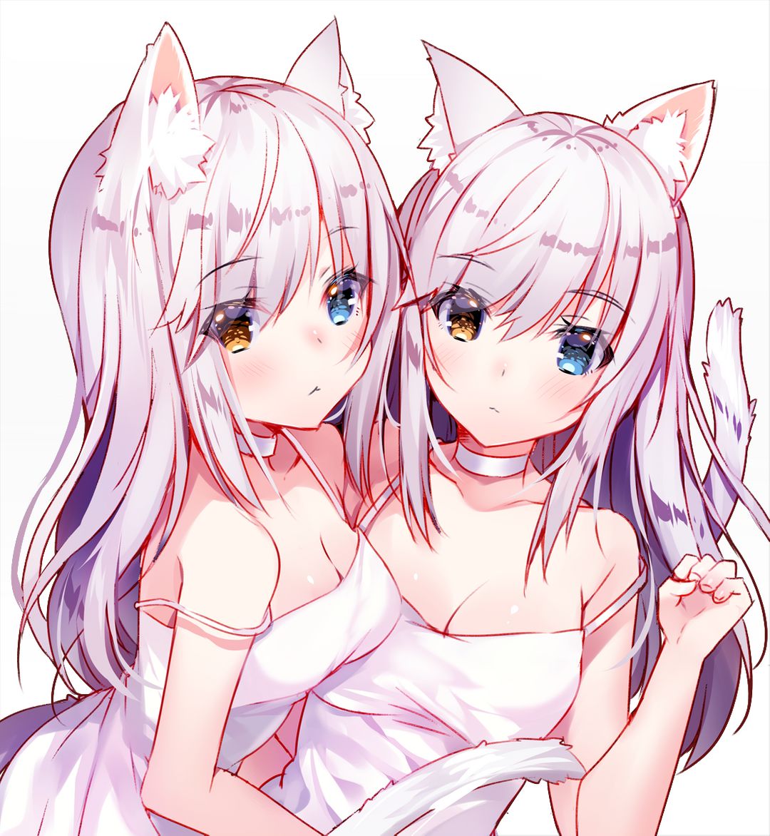 Catgirls [Original]