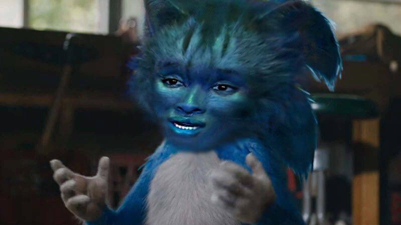 Cats. They’ve learnt nothing