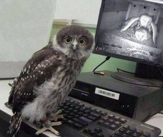 Caught Red-Handed