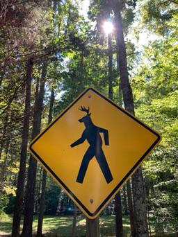 Caution to not run it over or caution that it is going to kill me?