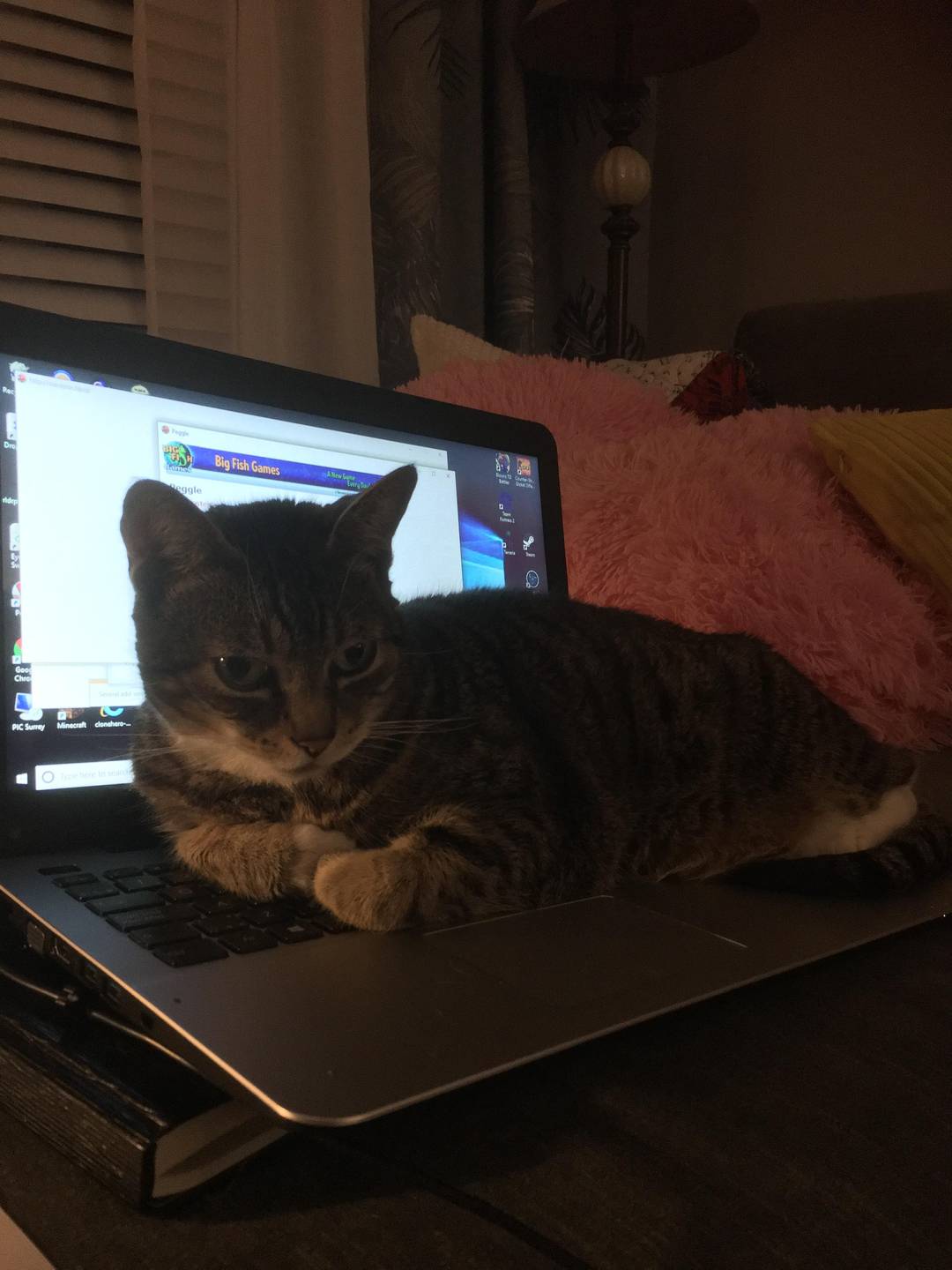 Checking my mom’s emails