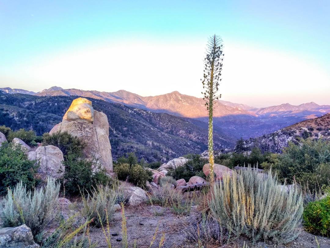 Chilao Campground Palmdale, CA