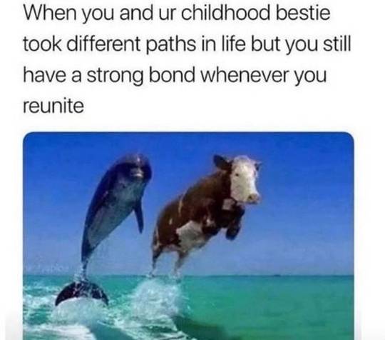 Childhood bestie