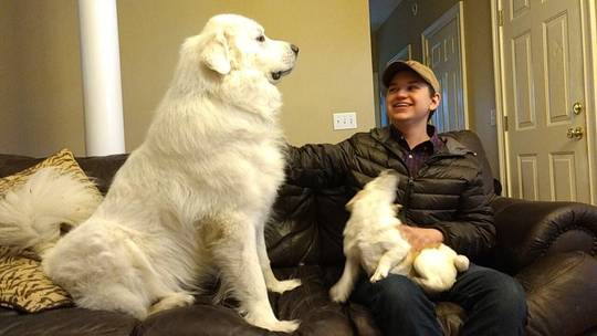 Chilling with my best friend’s Pyrenees Finn!