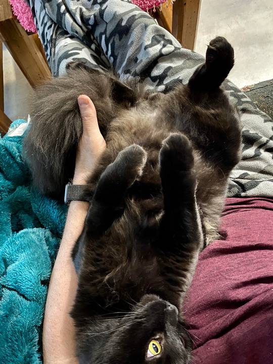 Cinder’s belly is, surprisingly, not a trap