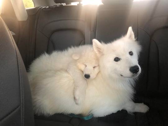 Cloudy day on the backseat
