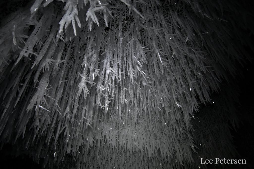 Columnar ice crystals just under a meter long under the Castner Glacier ...