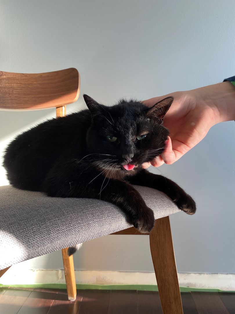Comfort Blep.