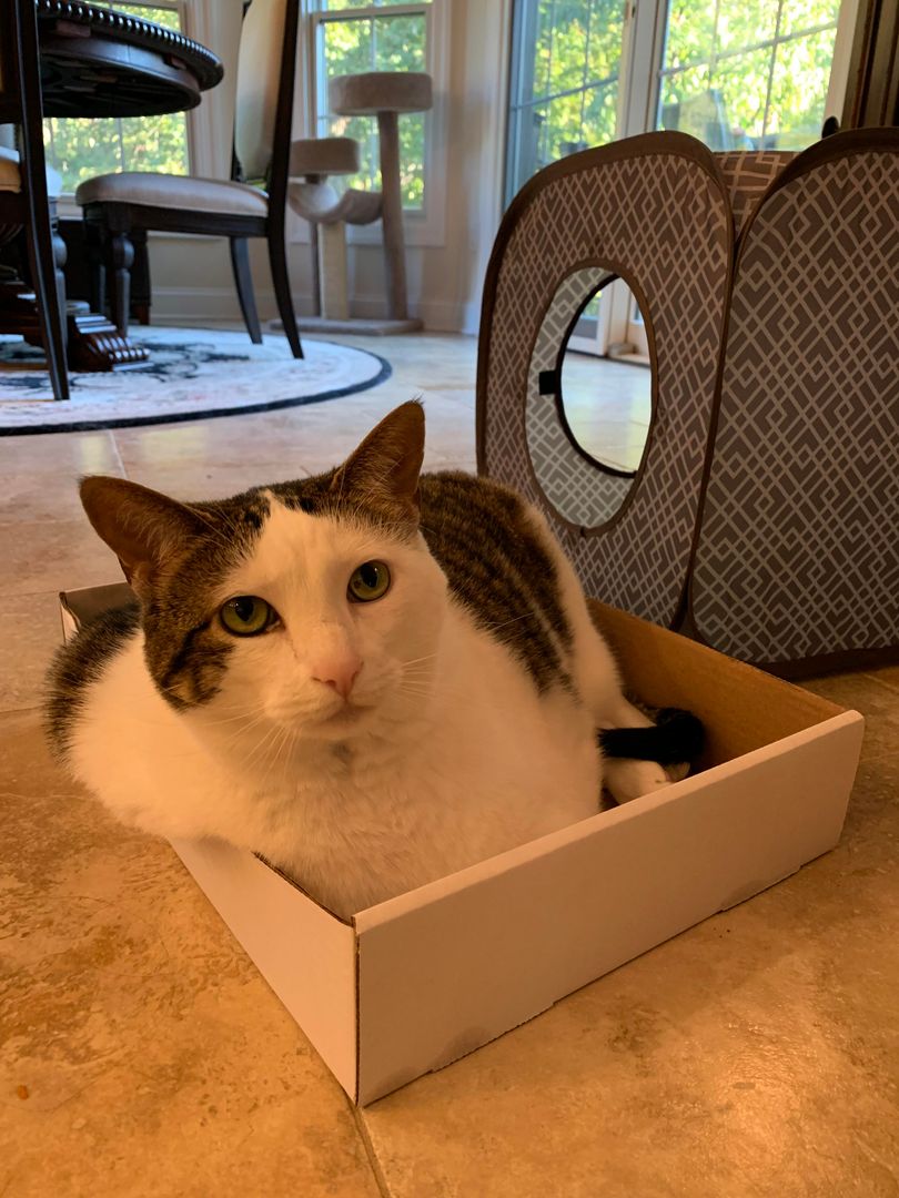 complete with a flab roll over the side