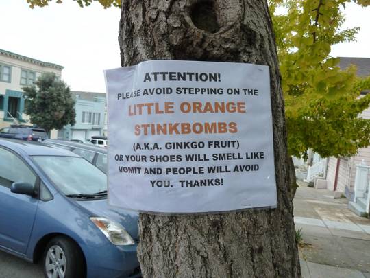 Considerate Neighbors in San Francisco