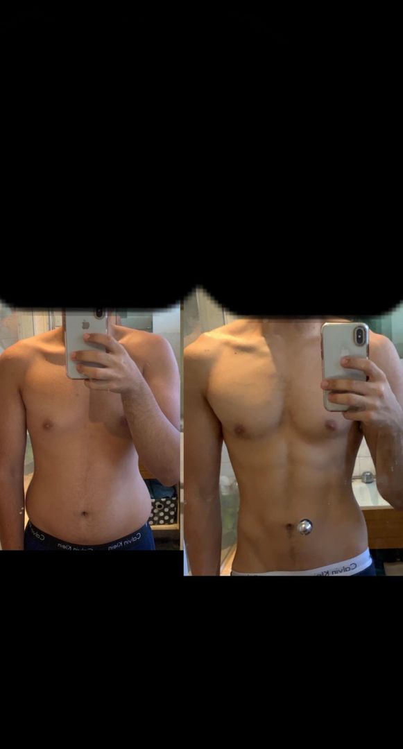 Continue cut over summer ( now) or maintain/lean bulk. New lifter cut slowly throughout year with 3 months maintenance over quarantine. And bf% estimate?