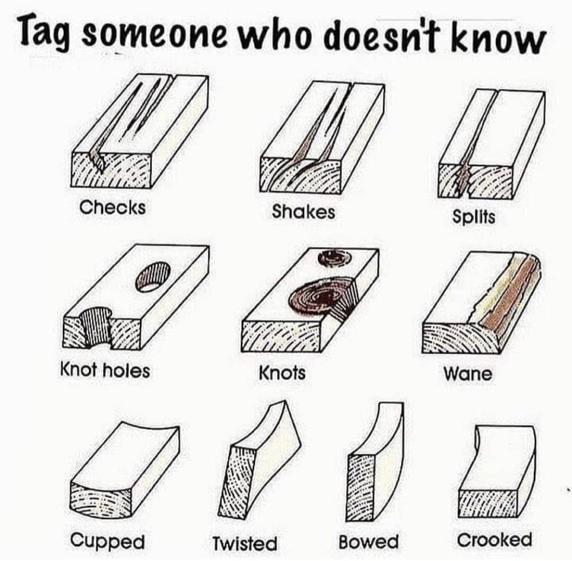 Different ways wood is damaged