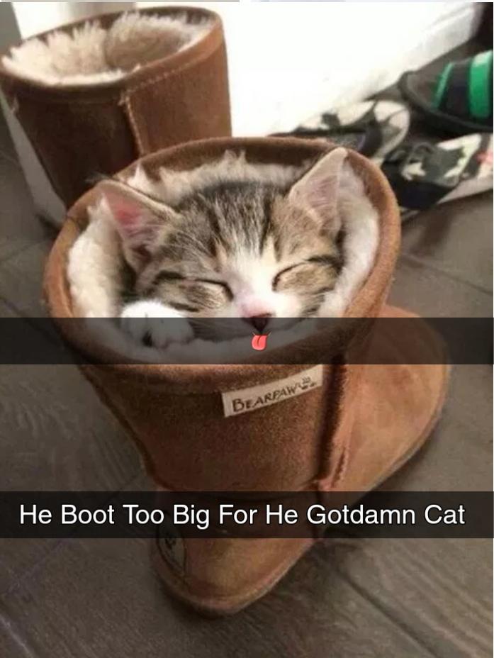 Cozy lol booty