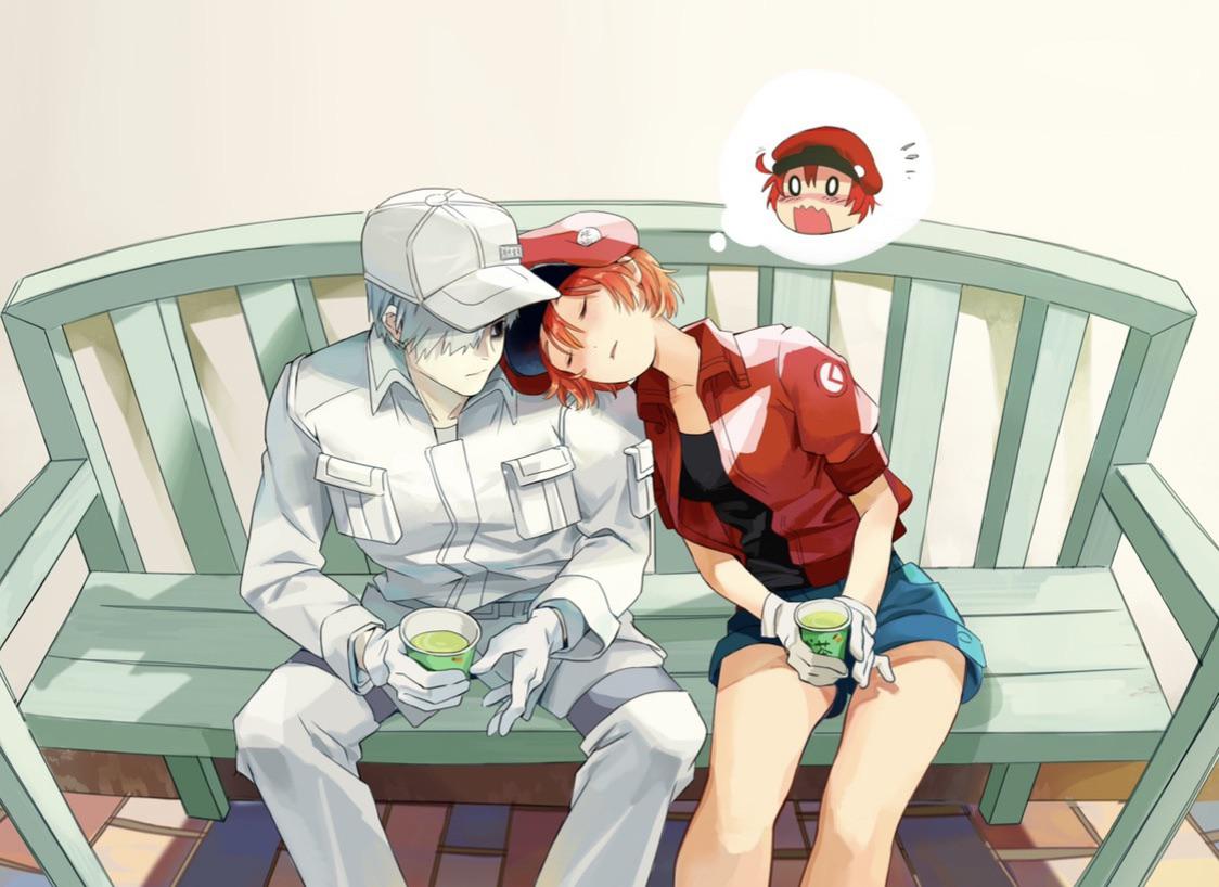 Cuddle Physiology [Cells at Work!] | Scrolller