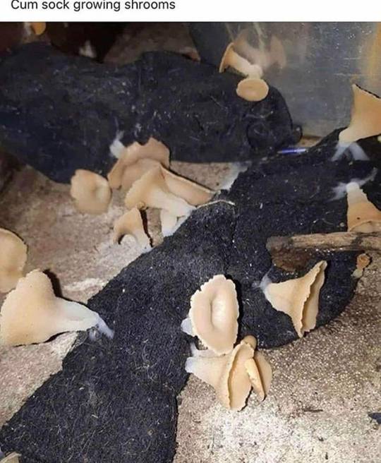 Cum sock