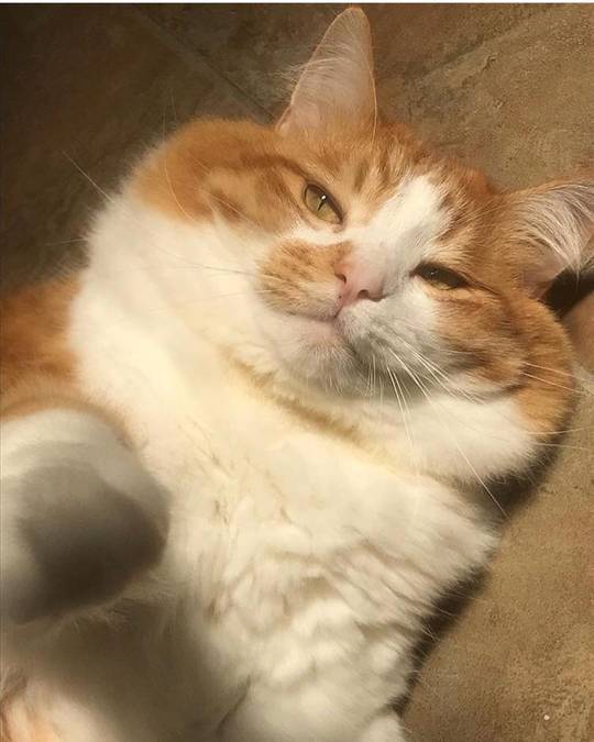 Dan doesn’t like to be woken up