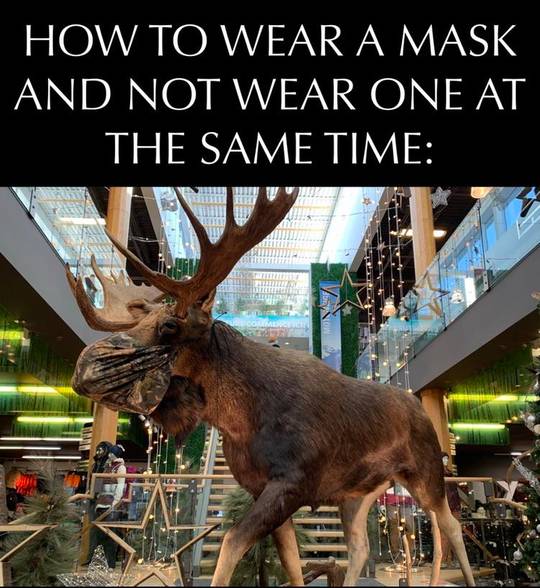 Dark mode friendly meme