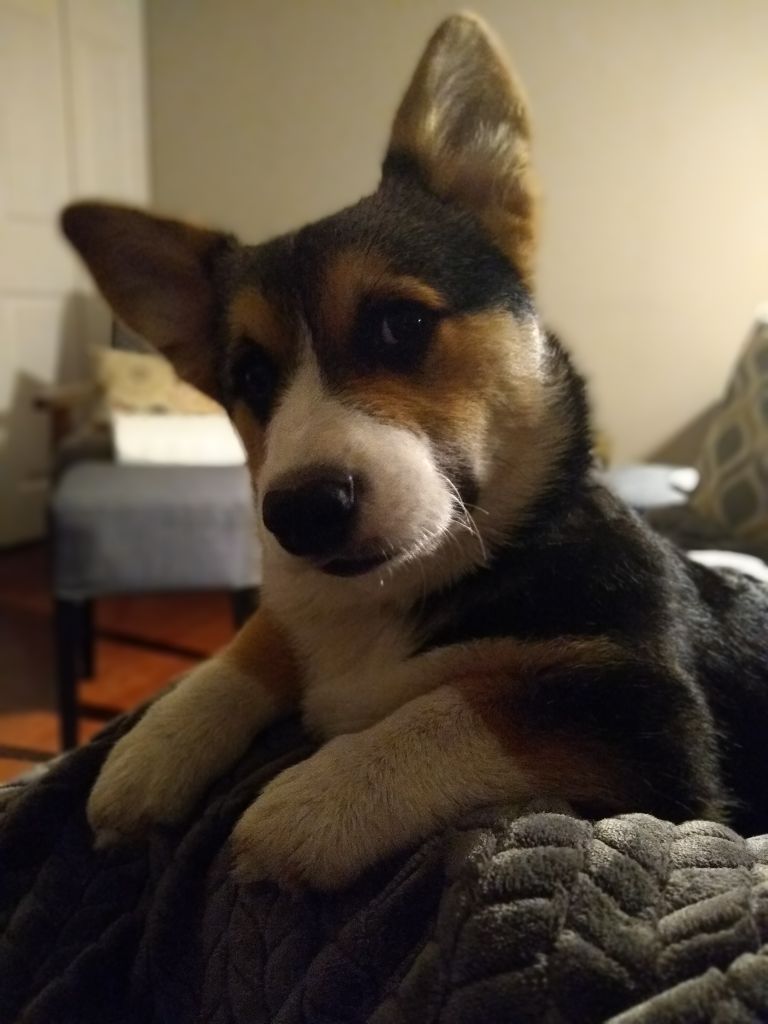 Data is growing up so fast!