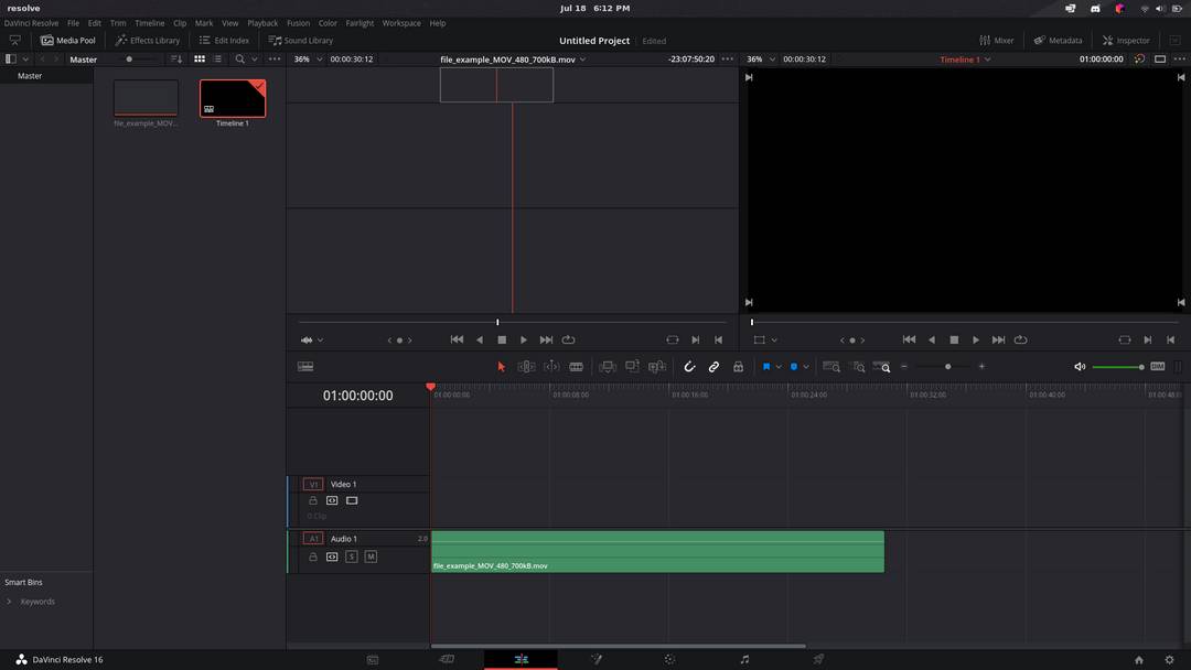 Davinci Resolve not showing any video output even on timeline