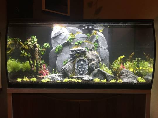Day 1 of my Lord of the Rings theme planted tank. May the algae gods be kind