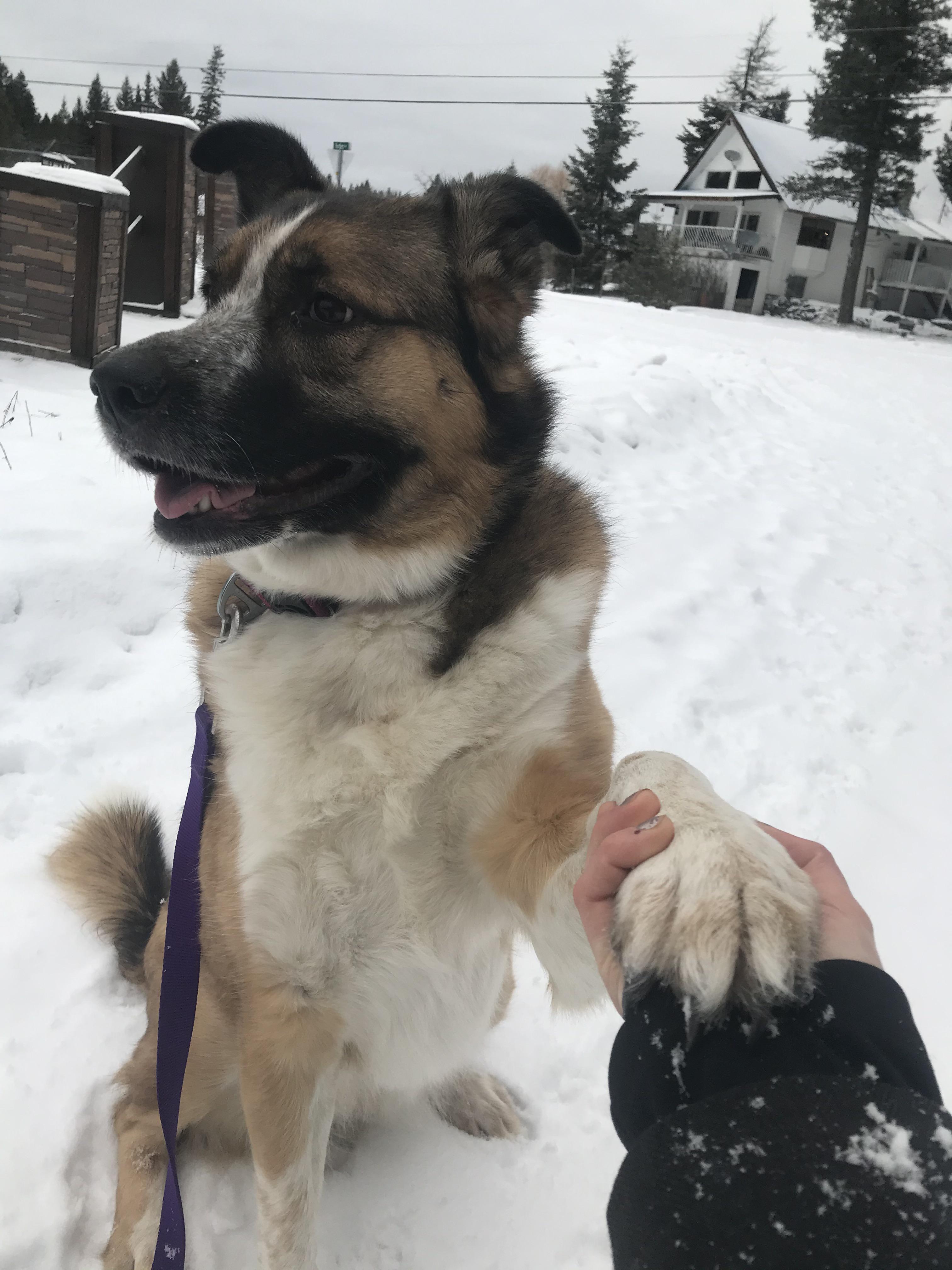 Day two of ‘officially’ getting into this running thing. Still working ...