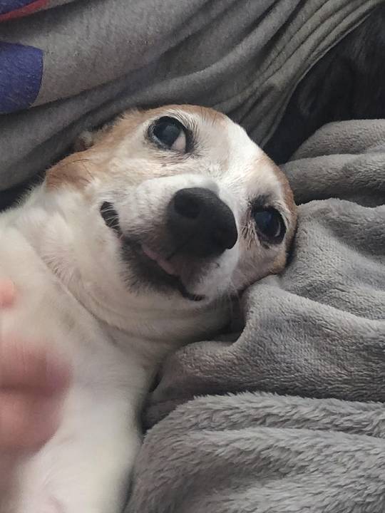 Derp mode