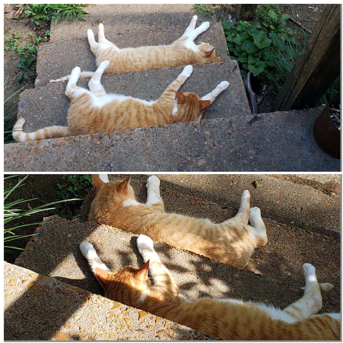 ON DIFFERENT DAYS OR IN DIFFERENT DAYS visual data 2