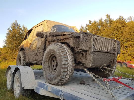 Dirty little pig after its mud bath