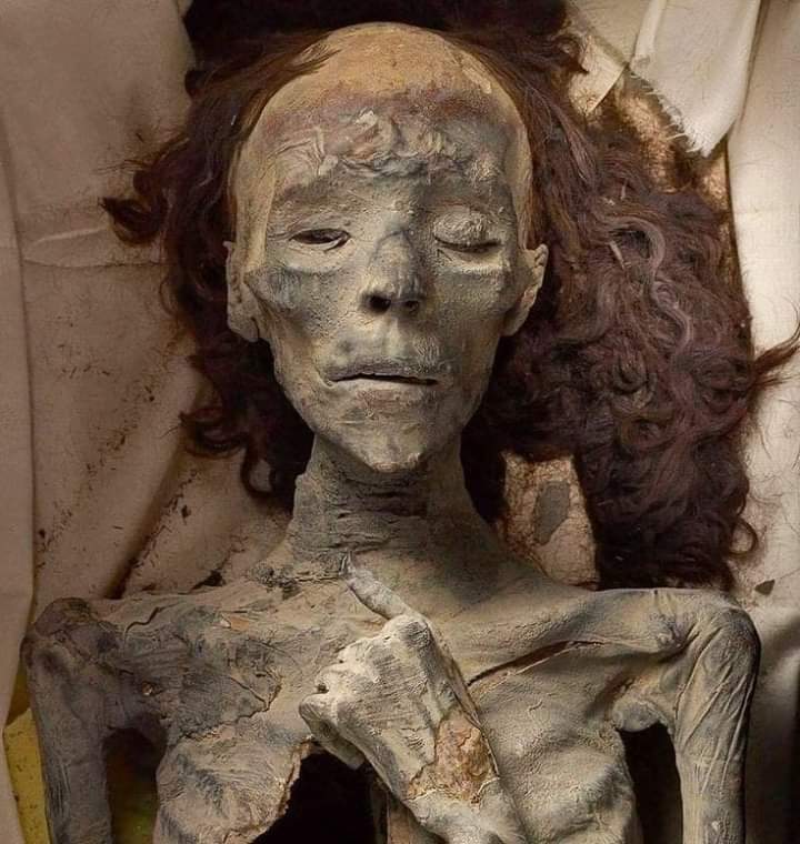 DNA analysis has identified this regal beauty as Tiye, Amenhotep III’s wife and Tutankhamun’s grandmother. She was embalmed with her left arm bent across her chest, interpreted as a queen’s burial pose. Her hair remains intact thanks to Egypt’s arid climate