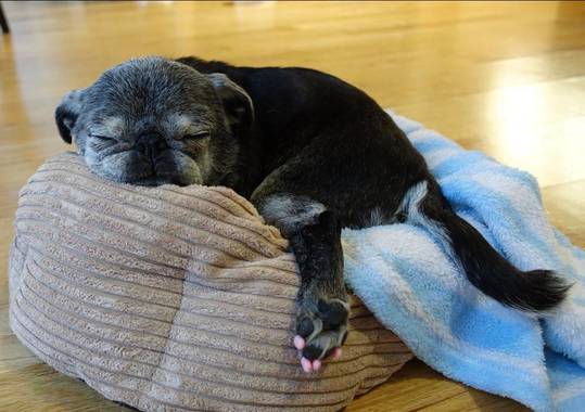 Do Not Disturb (Suji)