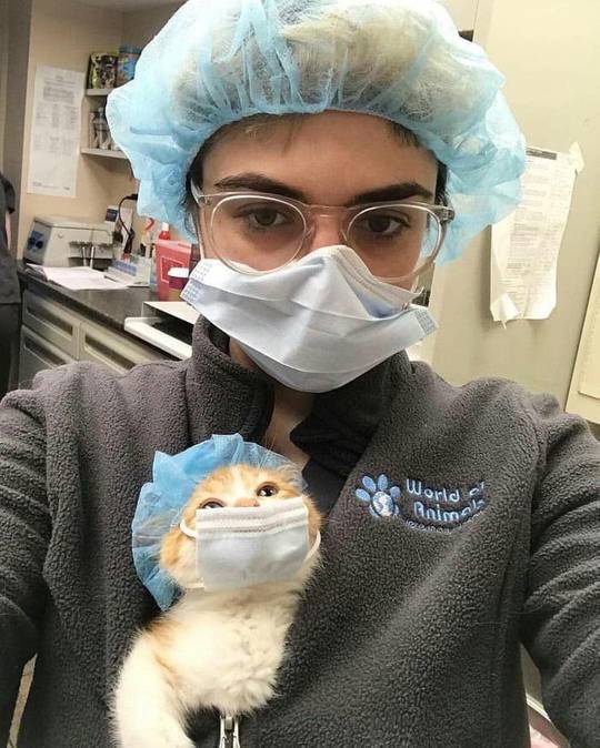 Doctor’s assistant
