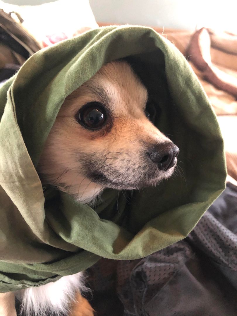 Does a shemagh count as a hat?